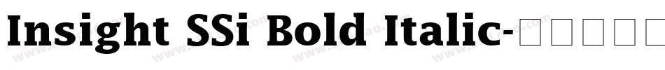 Insight SSi Bold Italic字体转换